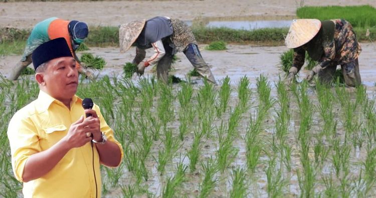 Strategi Pemerintah Untuk Meraih Surplus Beras,Apakah Dengan Program Food Estate,Corporate Farming Atau Rice Astate.
