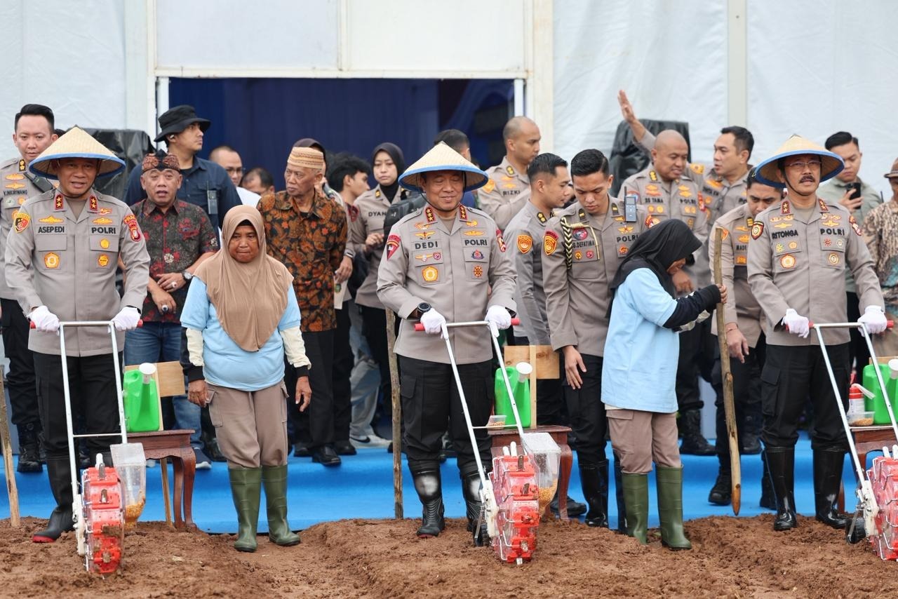 Sukses Pada Penanaman Jagung Tahun 2025, Polda Metro Jaya Menambah Jumlah Lahan Menjadi 50 Hektar